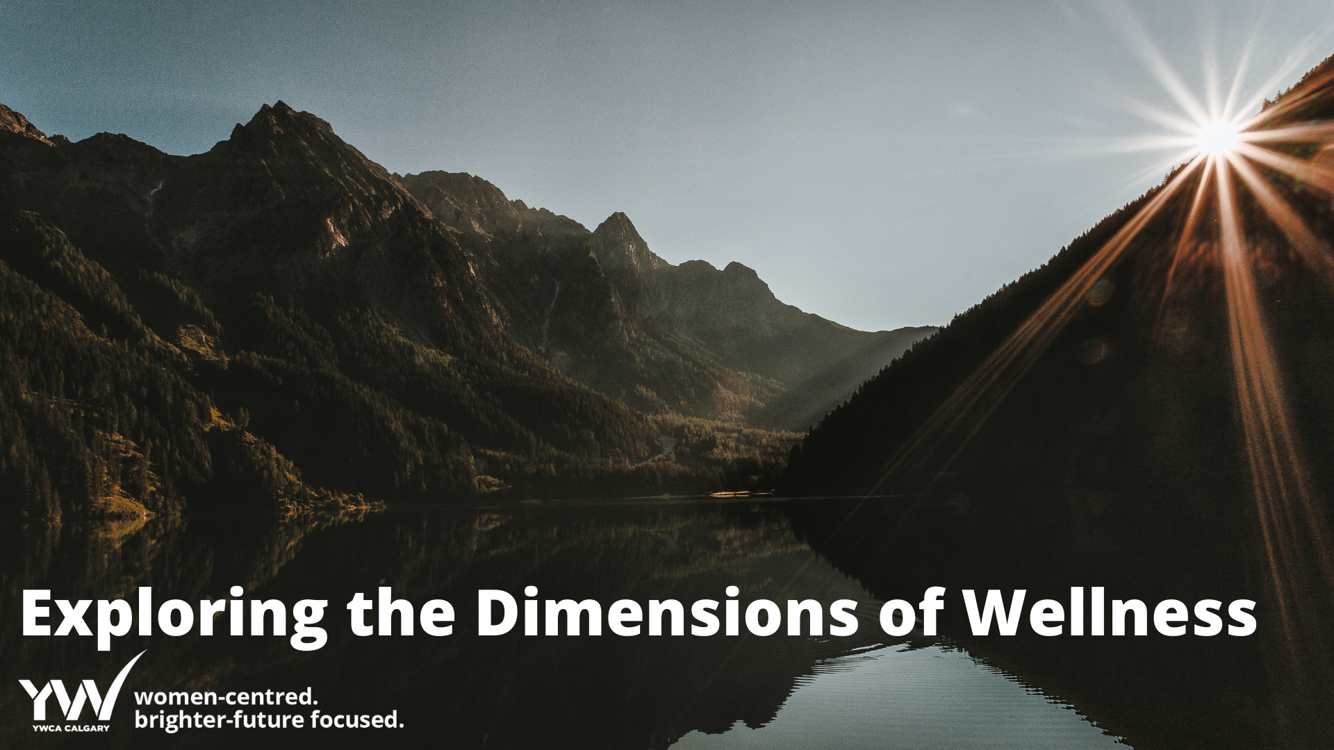 The dimensions of Wellness